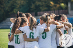 A game changing substitution: improving mental health and wellbeing in young athletes